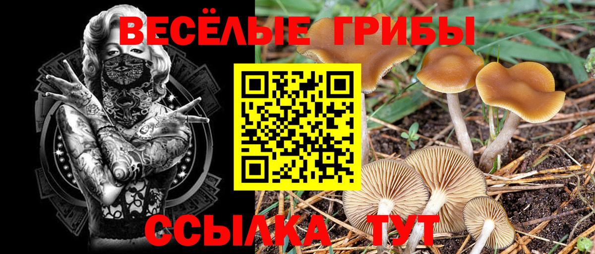 Галлюциногенные грибы ЛСД Михайловск
